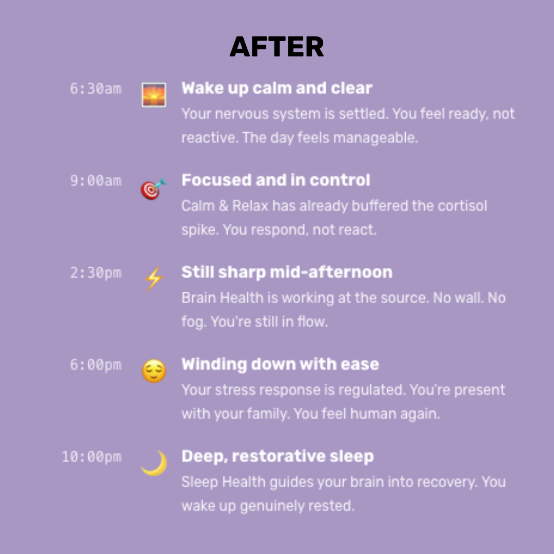 The Brain Reset System