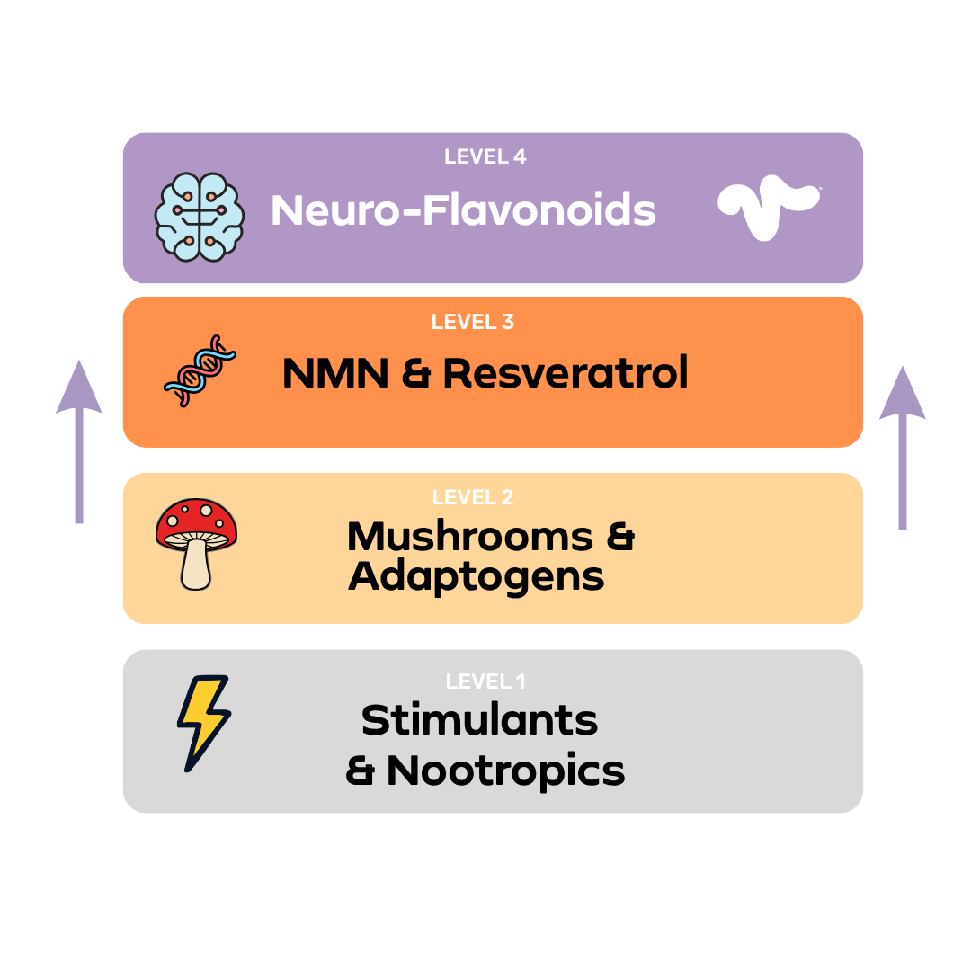 Journal #44. Not Every Brain Supplement Is Designed for the Same Job.
