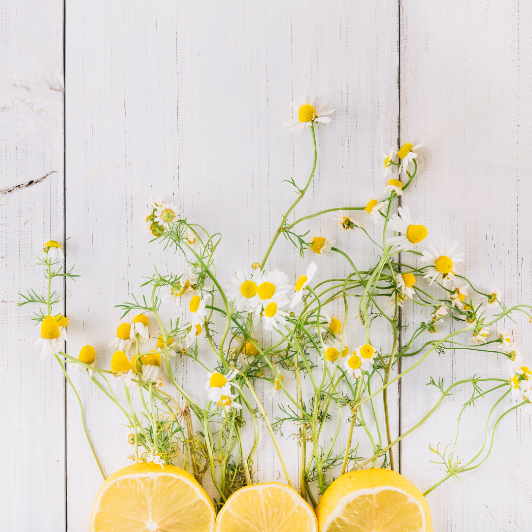 Journal #13. Plant compounds, modern food and cognitive performance